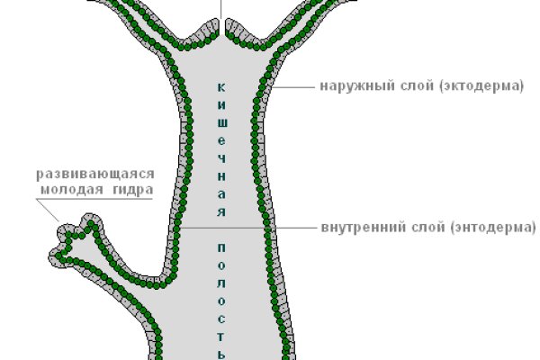 Кракен сайт ссылка онлайн